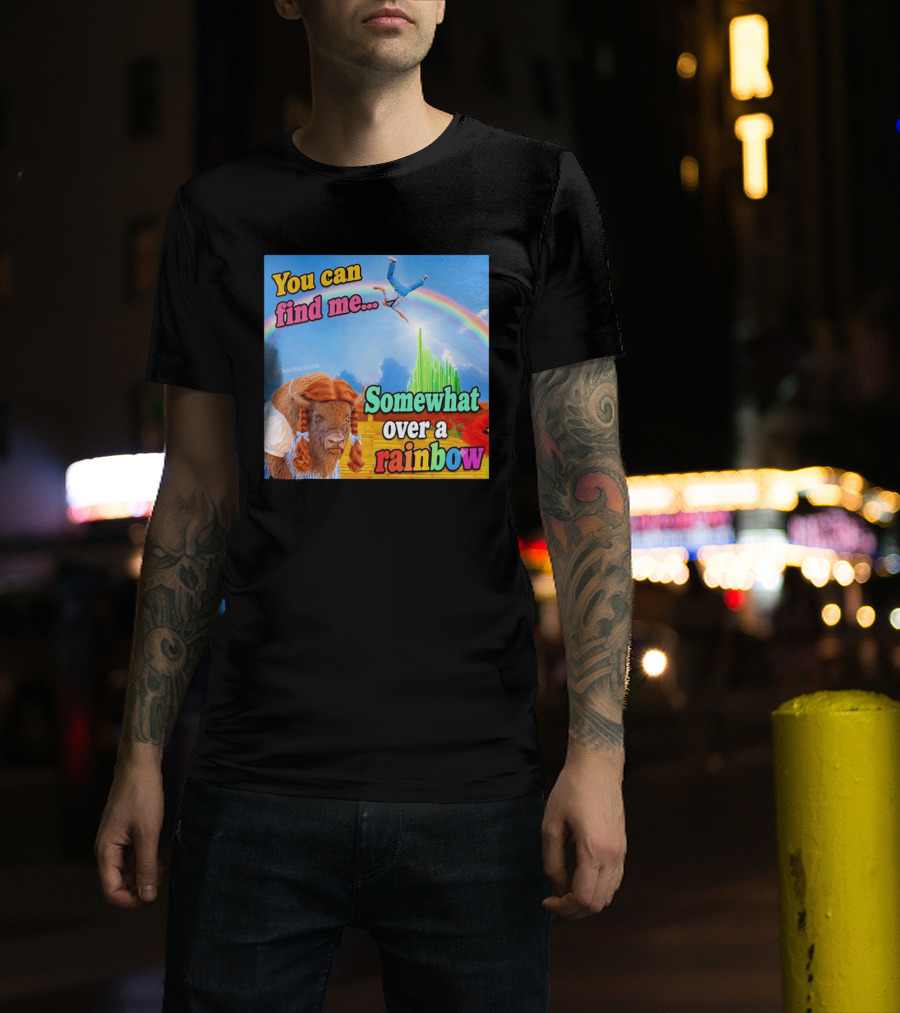 You Can Find Me Somewhat Over A Rainbow Bison Meme T-Shirt