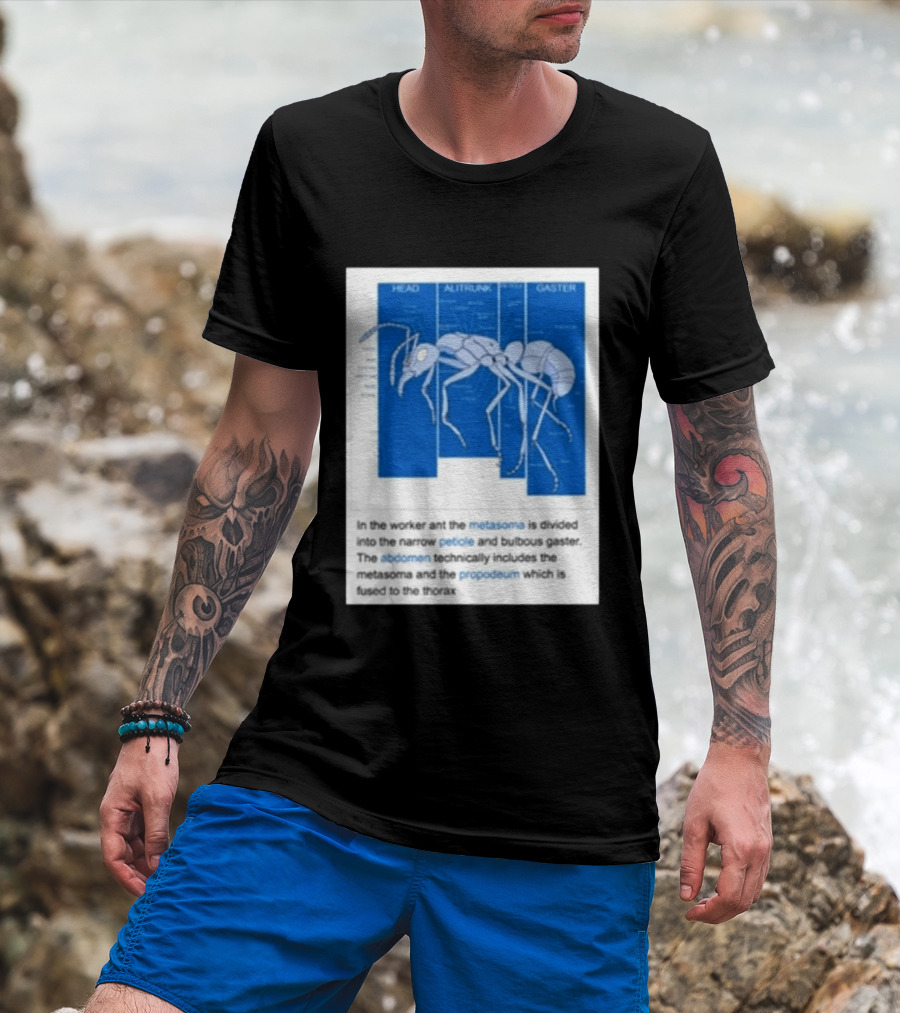 Head Alitrunk Gaster Metasoma Petiole Anatomy Of An Ant T-Shirt