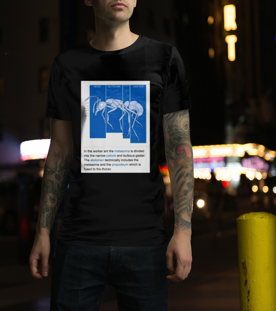Head Alitrunk Gaster Metasoma Petiole Anatomy Of An Ant T-Shirt