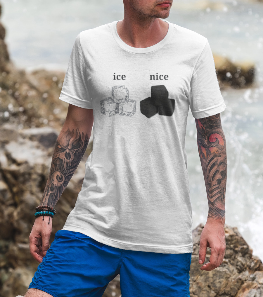 Ice Vs Nice Cubes Playful Word T-Shirt