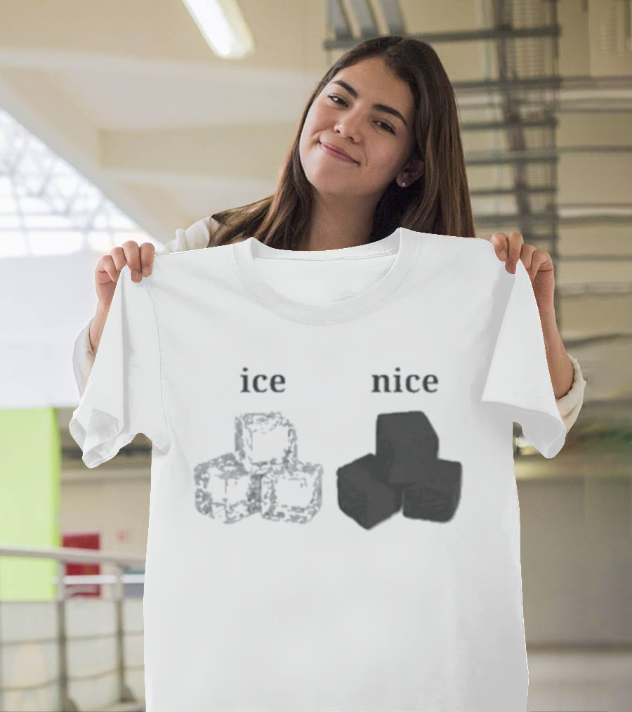 Ice Vs Nice Cubes Playful Word T-Shirt