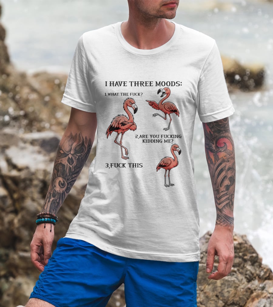 I Have Three Moods What The Fuck Are You Fucking Kidding Me Fuck This Flamingo T-Shirt