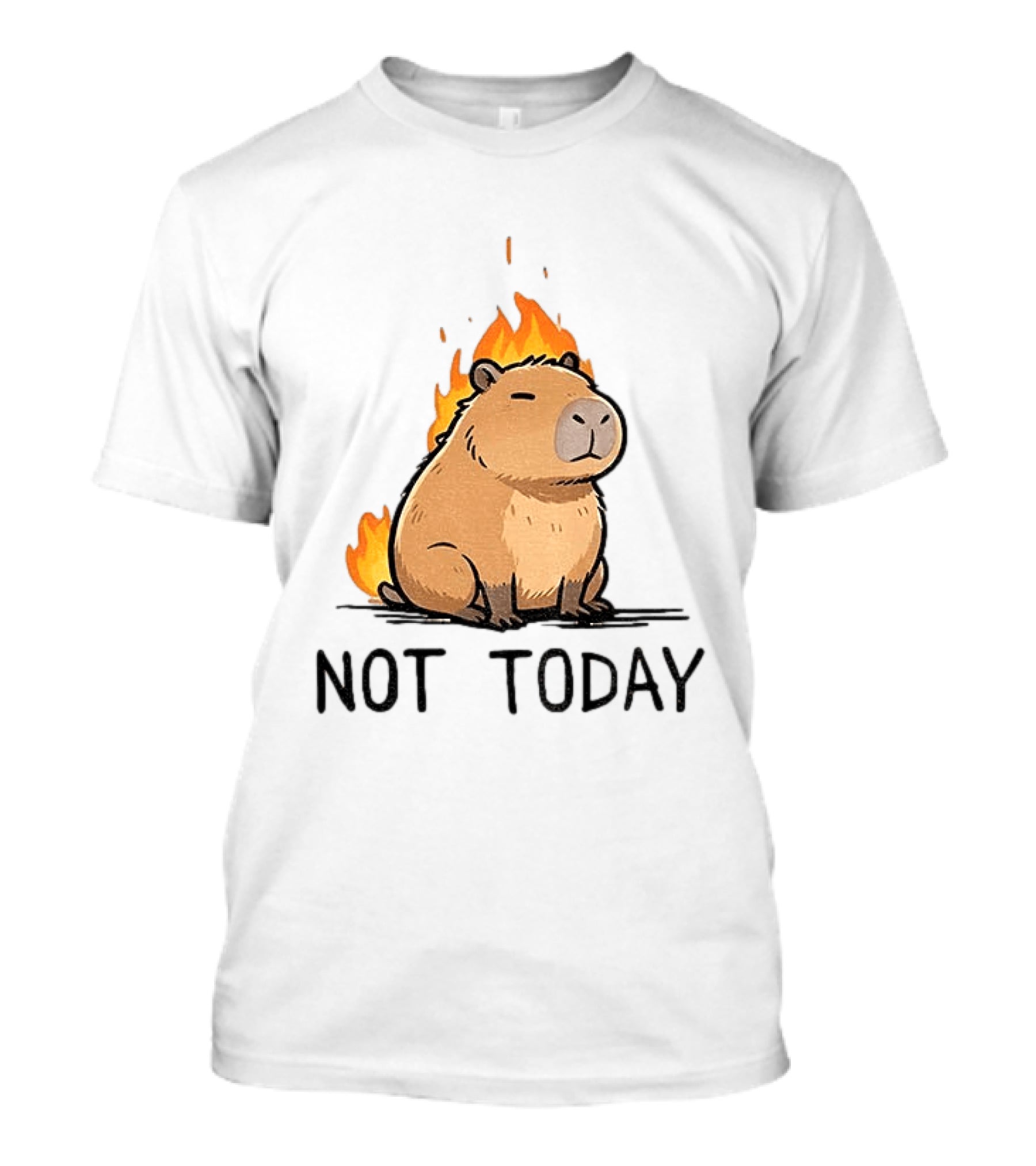 Capybara On Fire Not Today Calm Meme T-Shirt