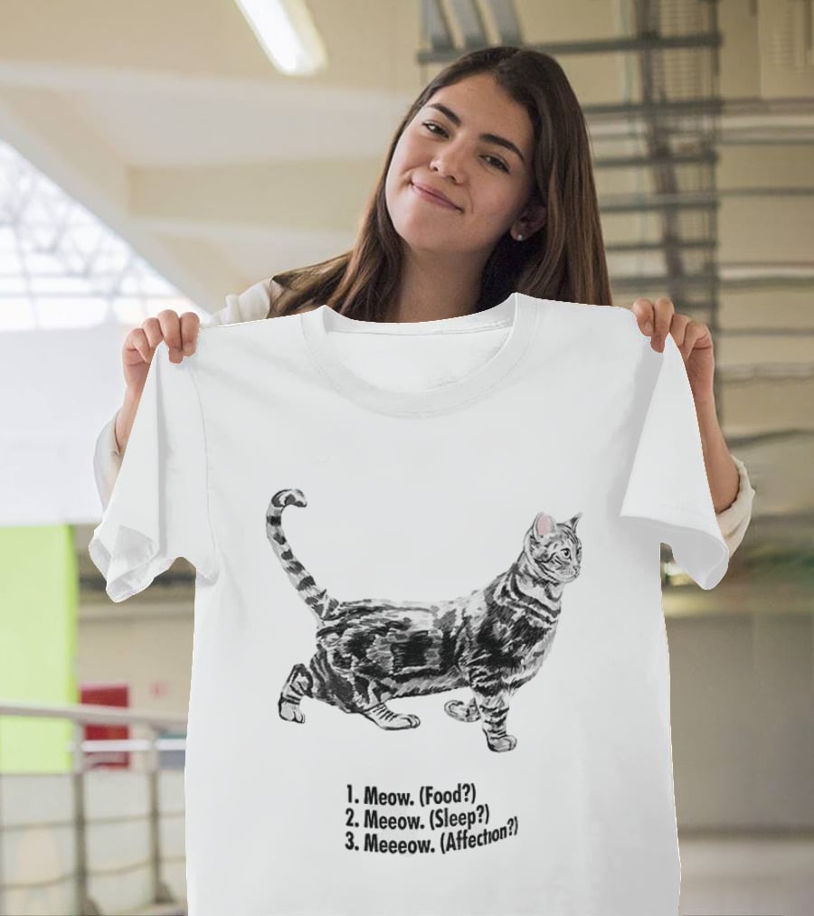 Meow Food Meeow Sleep Meeeow Affection Cat Lovers Humor T-Shirt