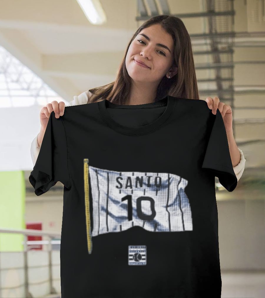 Santo 10 Baseball Hall Of Fame Pinstripe Flag T-Shirt