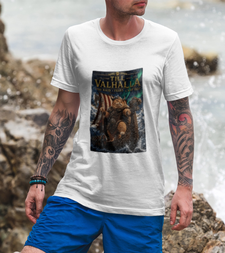 Till Valhalla Raid Feast Nap Viking Cat On Longship With Northern Lights T-Shirt