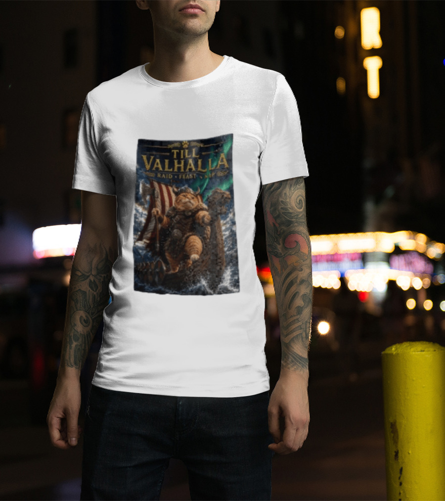 Till Valhalla Raid Feast Nap Viking Cat On Longship With Northern Lights T-Shirt