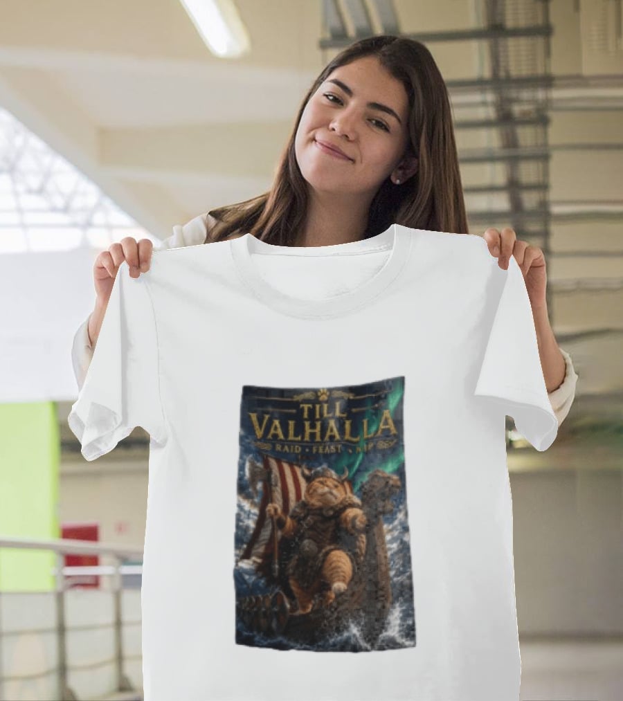 Till Valhalla Raid Feast Nap Viking Cat On Longship With Northern Lights T-Shirt