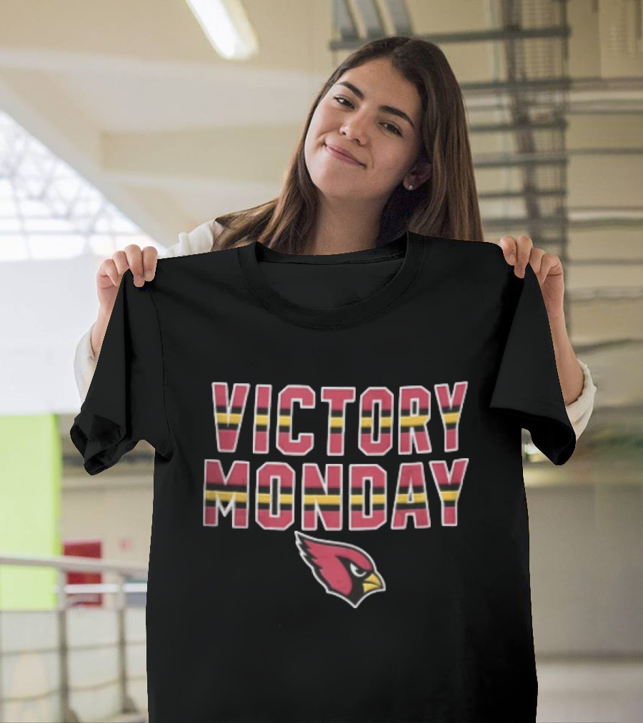 Victory Monday Arizona Cardinals Bird Head Striped T-Shirt