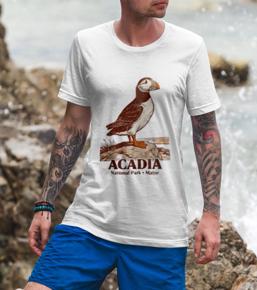 Acadia National Park Maine Puffin Standing On Rock T-Shirt