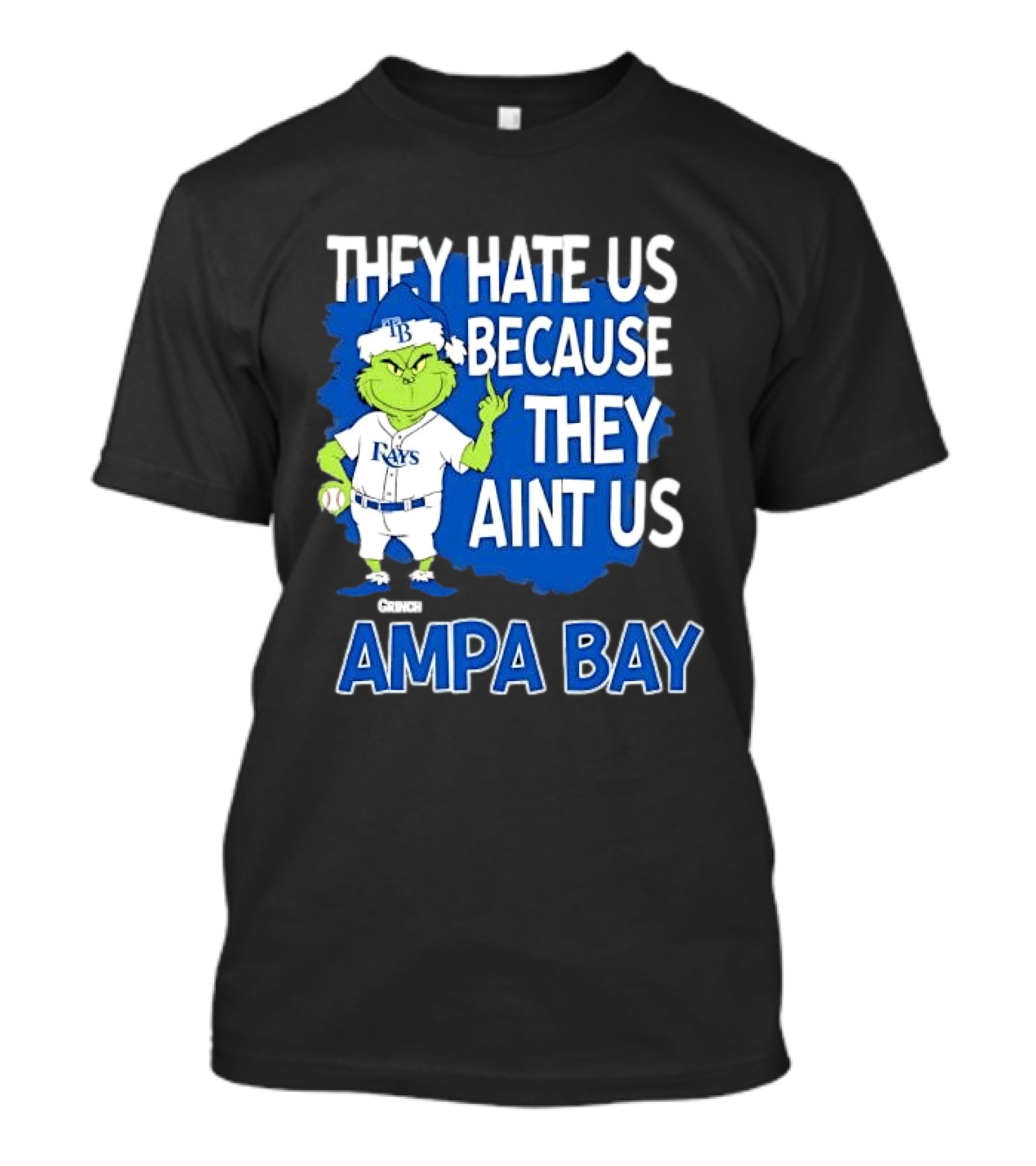 Tampa Bay Rays Grinch Christmas They Hate Us Because They Aint Us T-Shirt