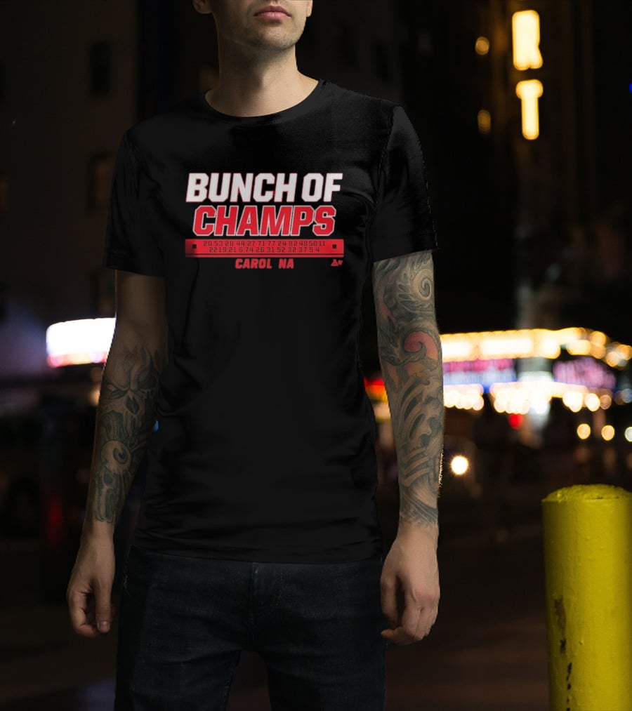 Bunch Of Champs Carolina Hockey Numbers Series T-Shirt