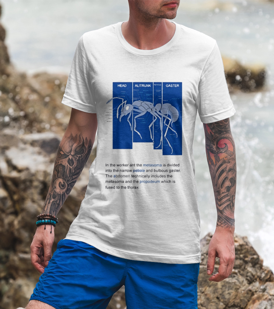 Worker Ant Diagram Head Alitrunk Gaster Metasoma Petiole Biology T-Shirt