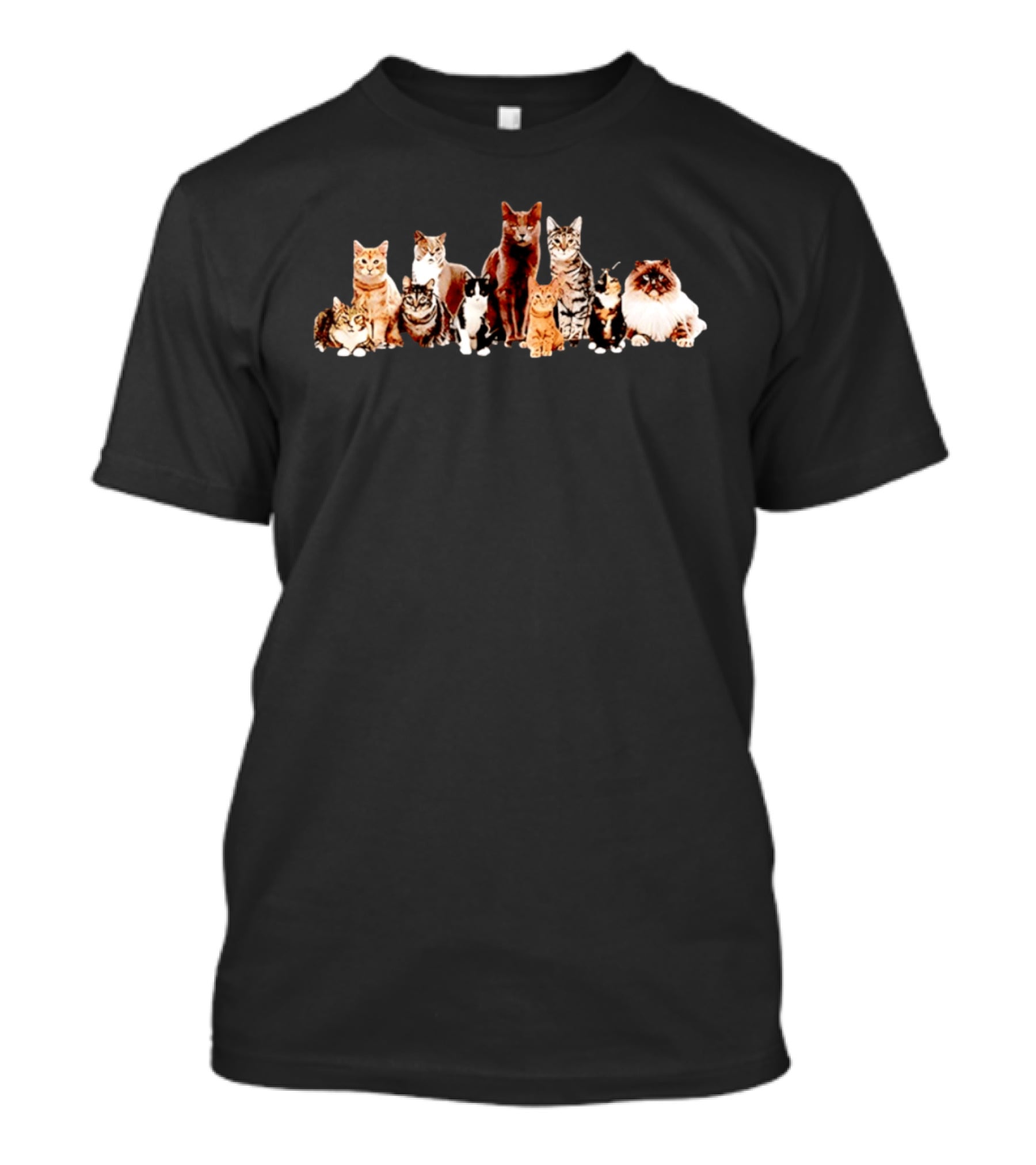 Diverse Feline Kittens Group Cat Lover T-Shirt