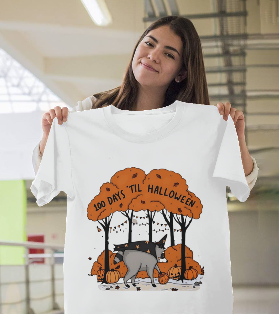 100 Days 'til Halloween Raccoon Wizard Costume In Pumpkin Patch Forest T-Shirt