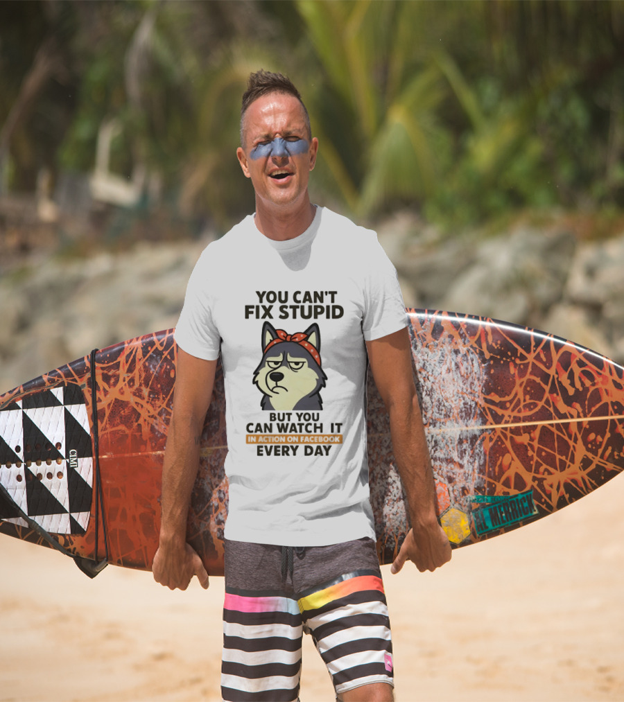 You Can't Fix Stupid But You Can It Every Day Husky T-Shirt