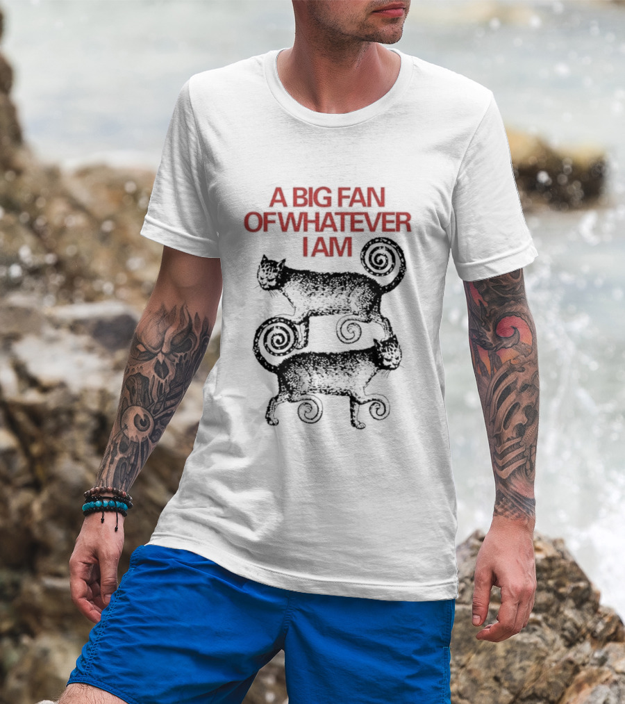 A Big Fan Of Whatever I Am Spiral Cats T-Shirt