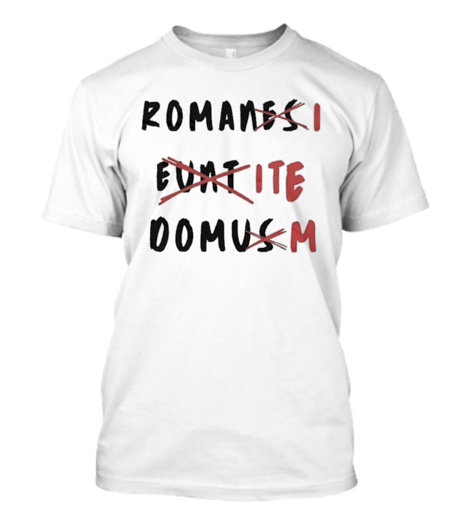 Romans Go Home Life Of Brian Corrected Latin Graffiti T-Shirt