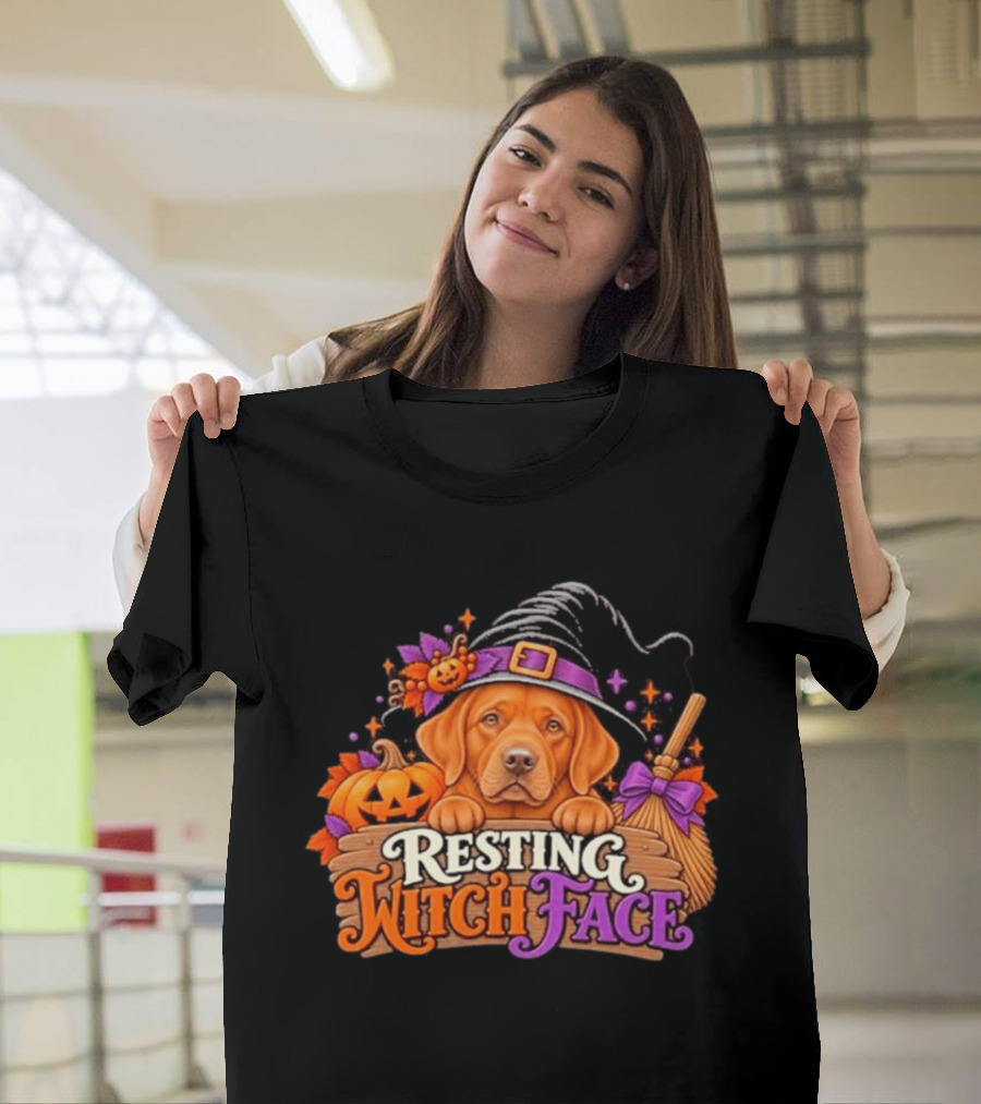 Resting Witch Face Dog Witch Hat Pumpkin Broom Halloween T-Shirt