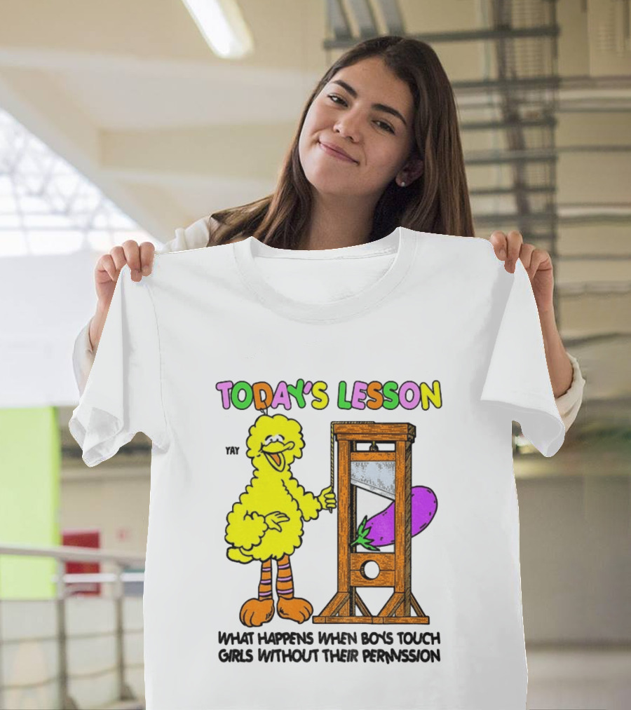 Today's Lesson What Happens When Boys Touch Girls Without Their Permission Big Bird And Guillotine T-Shirt