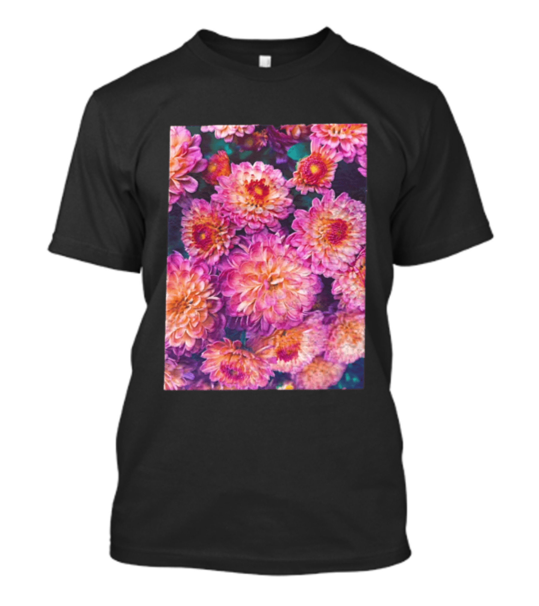 Many Pink And Orange Chrysanthemum Flowers In Full Bloom T-Shirt