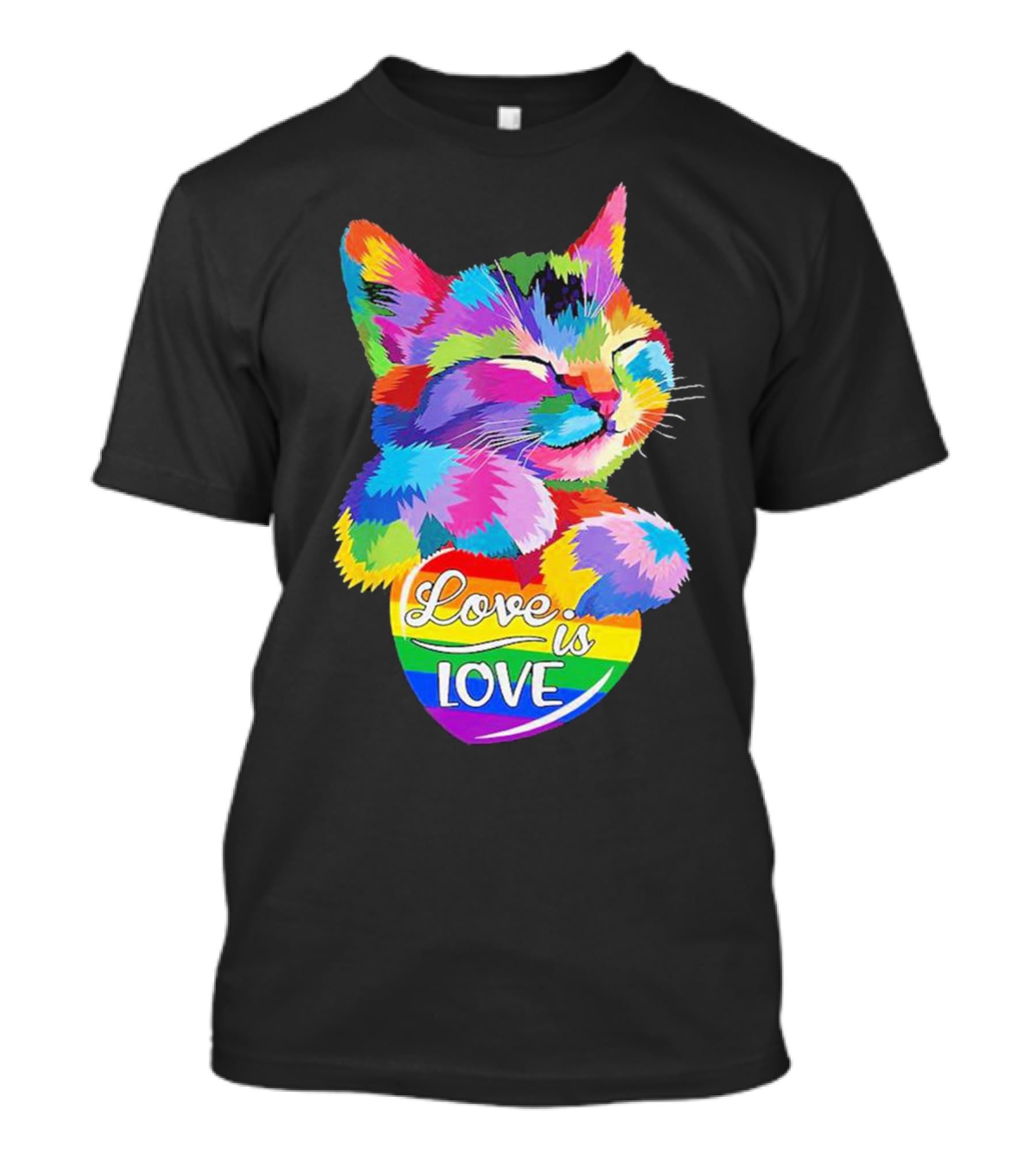 Cat Love Is Love Rainbow Pride Colorful Kitten Celebration T-Shirt