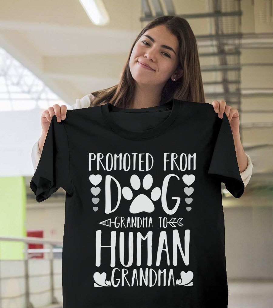 Promoted From Dog Grandma To Human Grandma Paw Heart Arrow T-Shirt