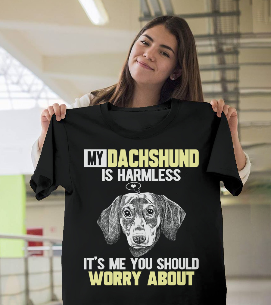 My Dachshund Is Harmless It's ME You Should Worry About T-Shirt