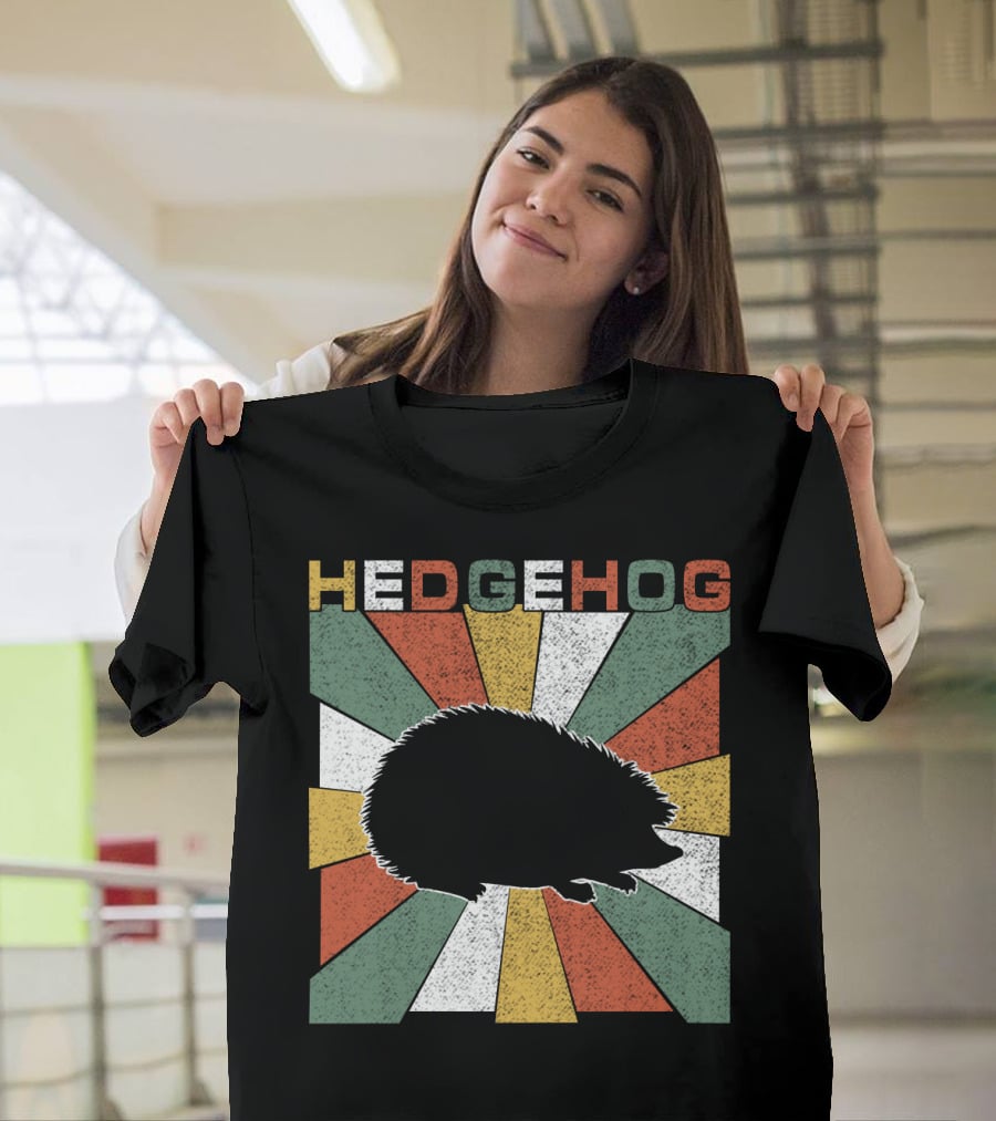 Hedgehog Retro 70s Silhouette Vintage Stripe Burst T-Shirt