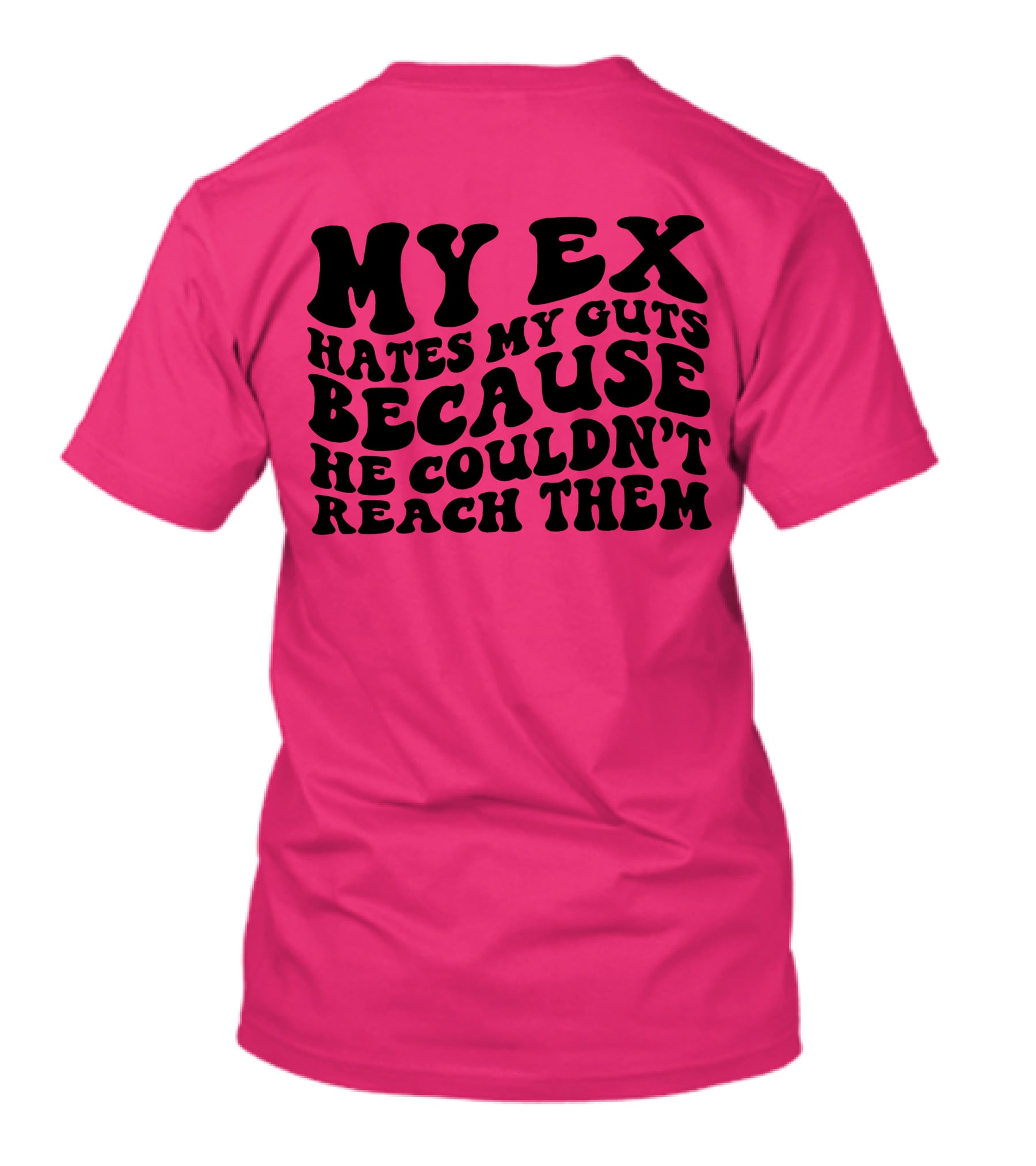 My Ex Hates My Guts Because He Couldn’t Reach Them 70s-Style T-Shirt