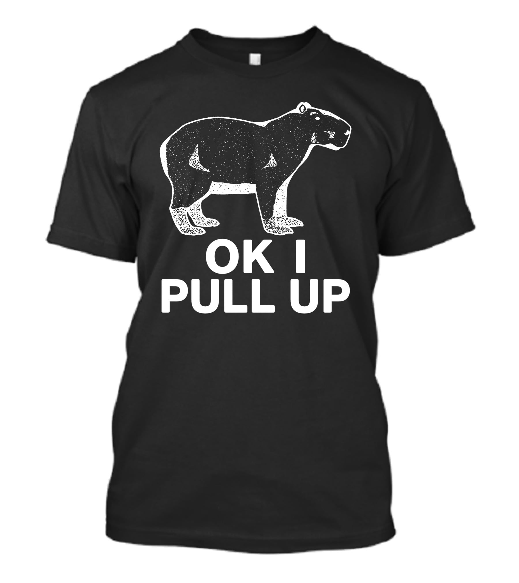 Capybaraman Ok I Pull Up T-Shirt