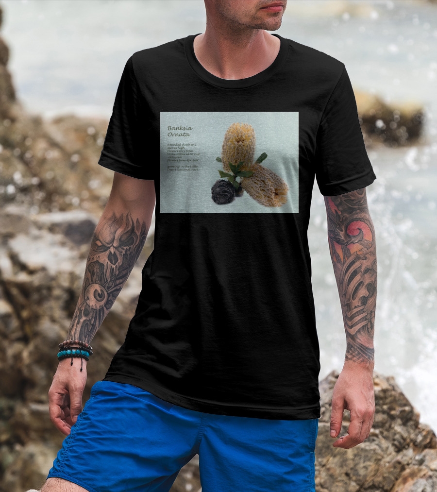 Banksia Ornata Rounded Shrubs Little Desert National Park Flowers T-Shirt