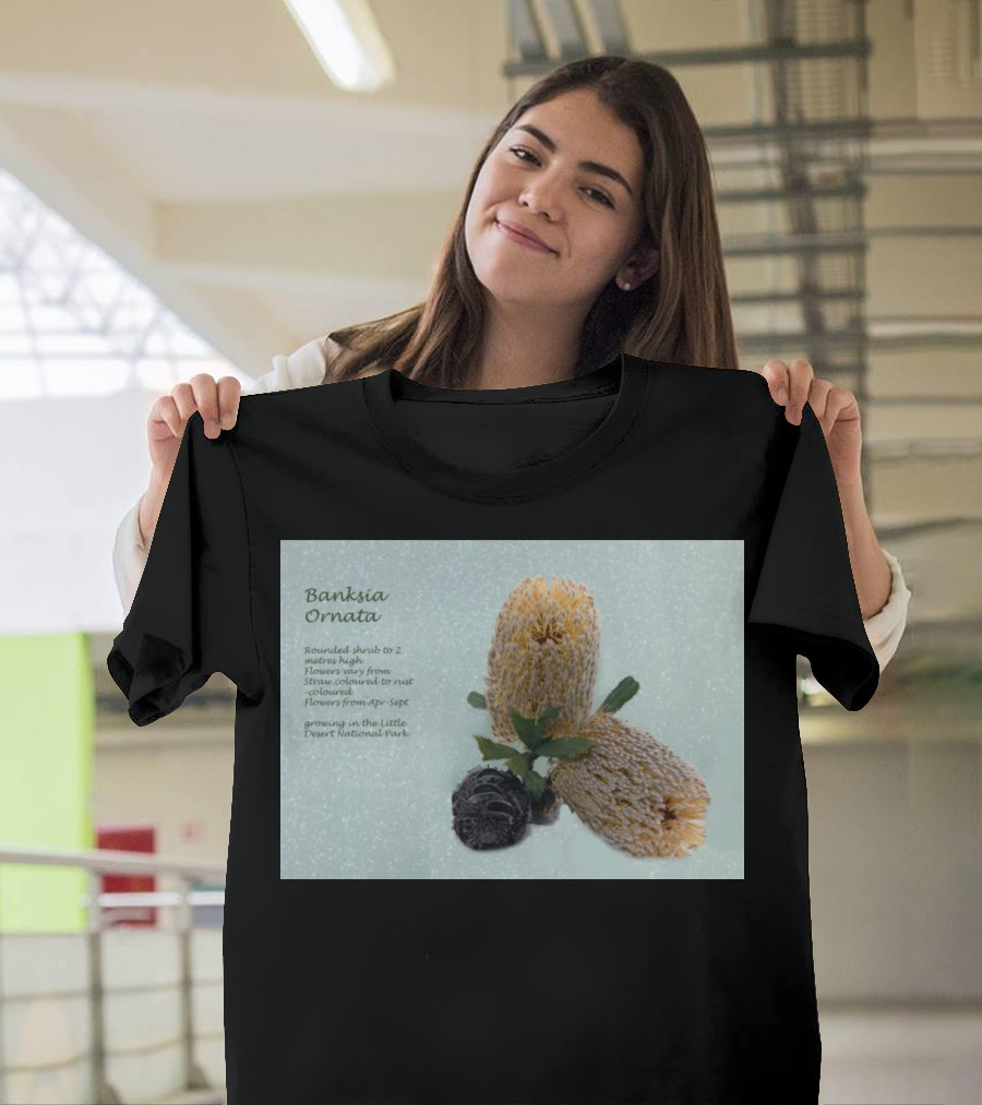 Banksia Ornata Rounded Shrubs Little Desert National Park Flowers T-Shirt