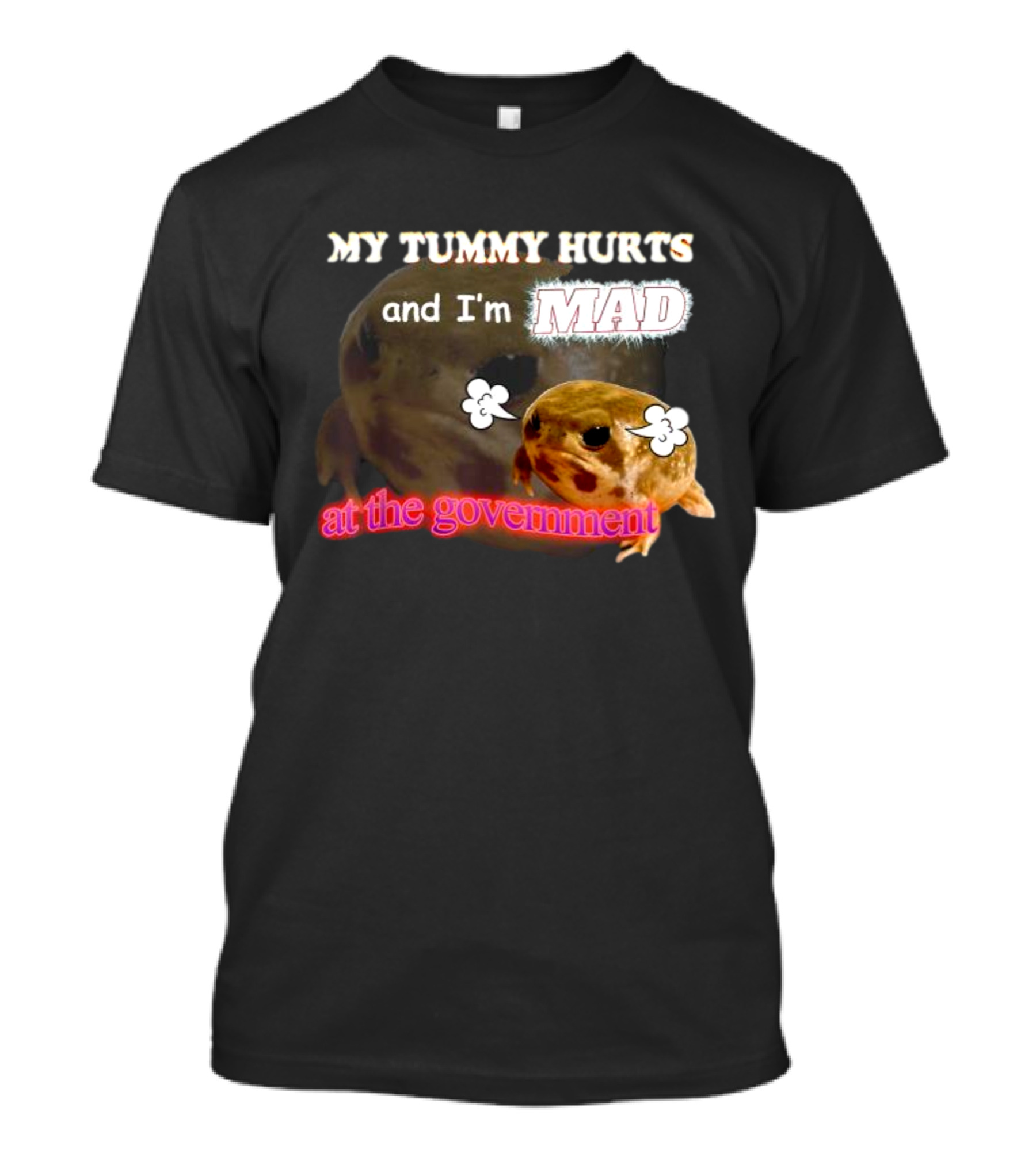 My Tummy Hurts And I'm MAD At The Government Frog Meme T-Shirt