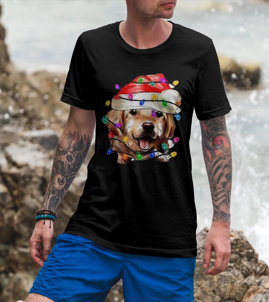 Christmas Lights Dog Lover Santa Hat Raglan T-Shirt