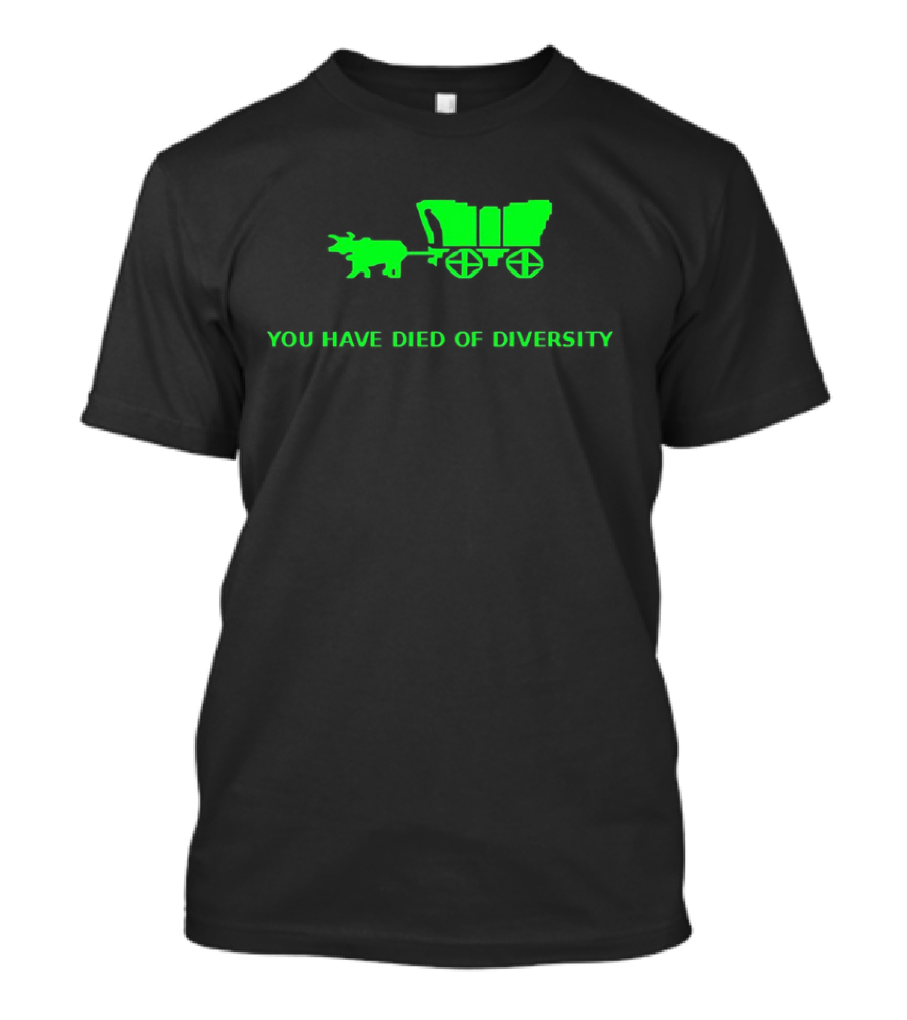 You Have Died Of Diversity Oregon Trail Pixel T-Shirt