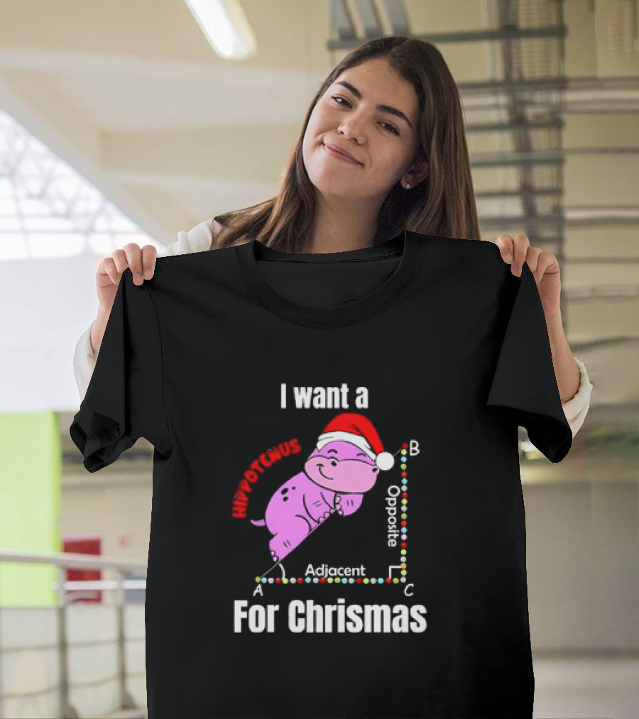 I Want a Hippotenuse ABC Adjacent Opposite for Christmas Cute Hippo T-Shirt