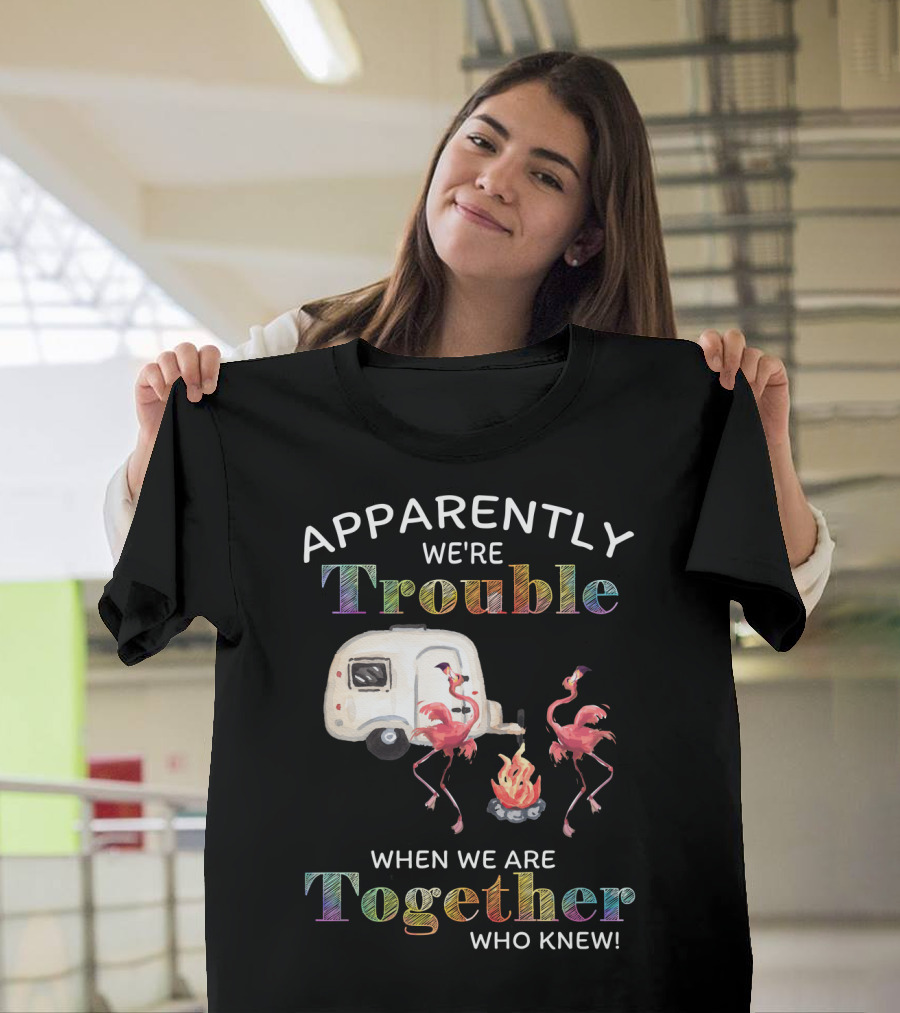 Apparently We're Trouble When We Are Together Flamingo Camping Who Knew T-Shirt