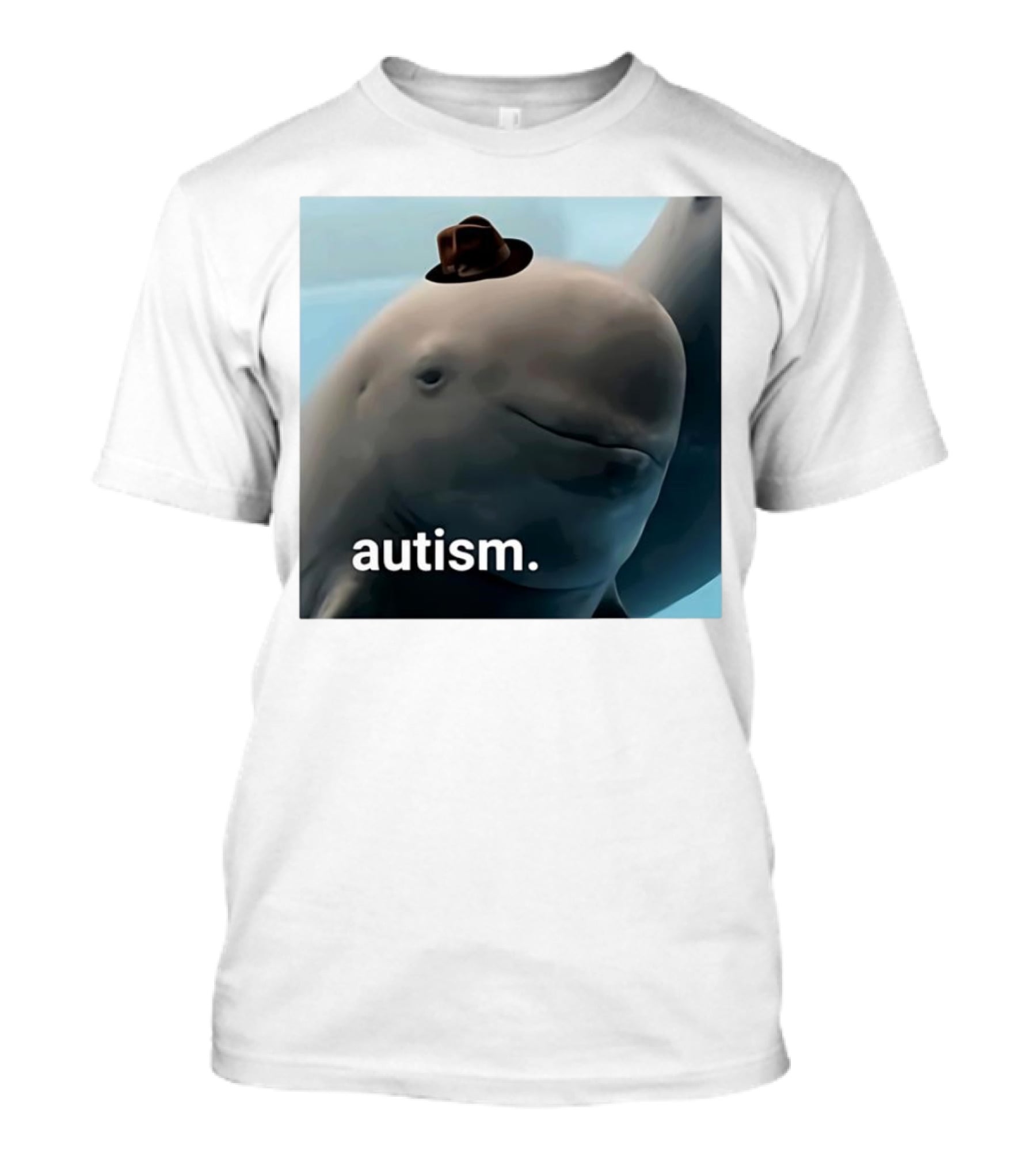 Autism Dolphin Meme With Hat T-Shirt
