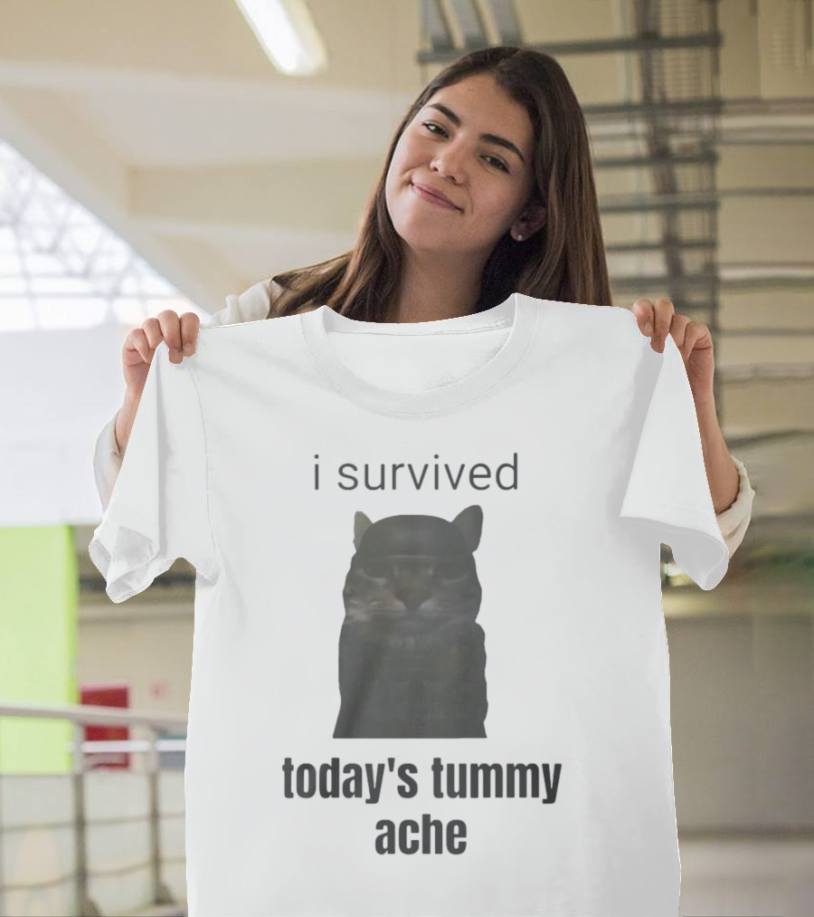 I Survived Today's Tummy Ache Cat Image T-Shirt