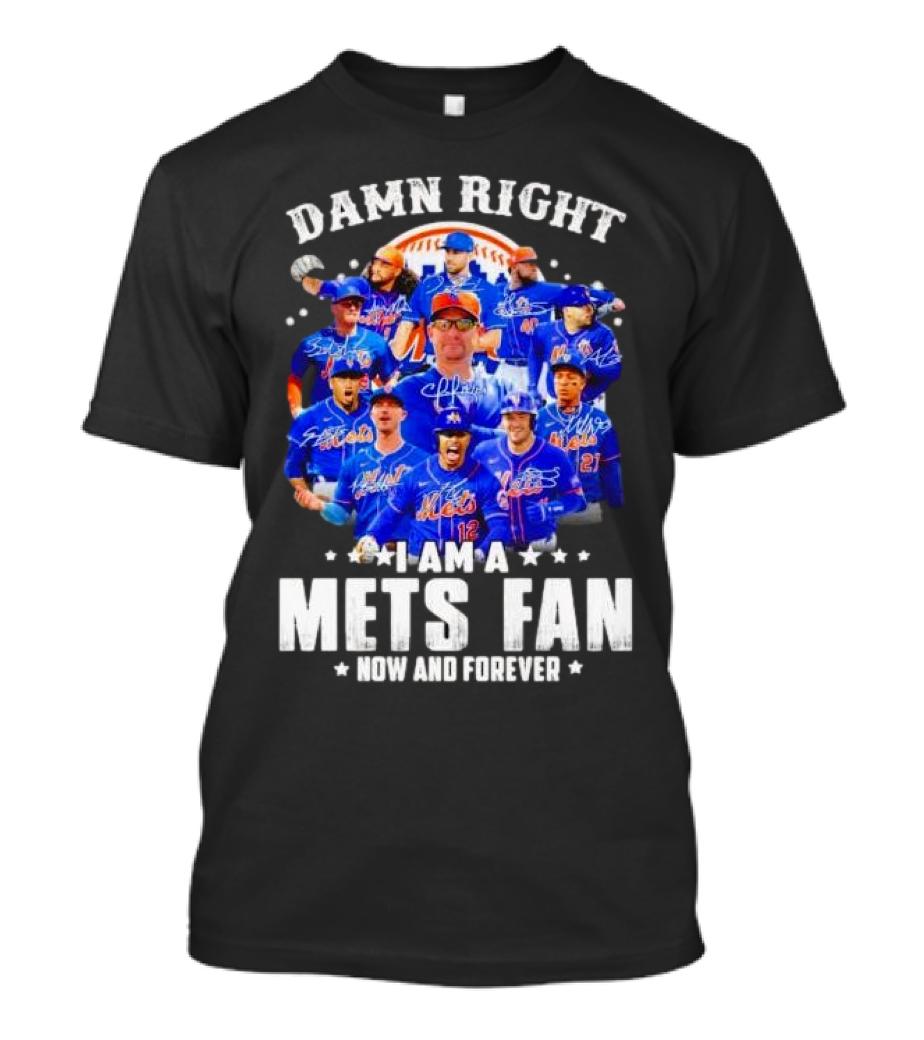 Damn Right I Am A New York Mets Fan Now And Forever Baseball Passion T-Shirt
