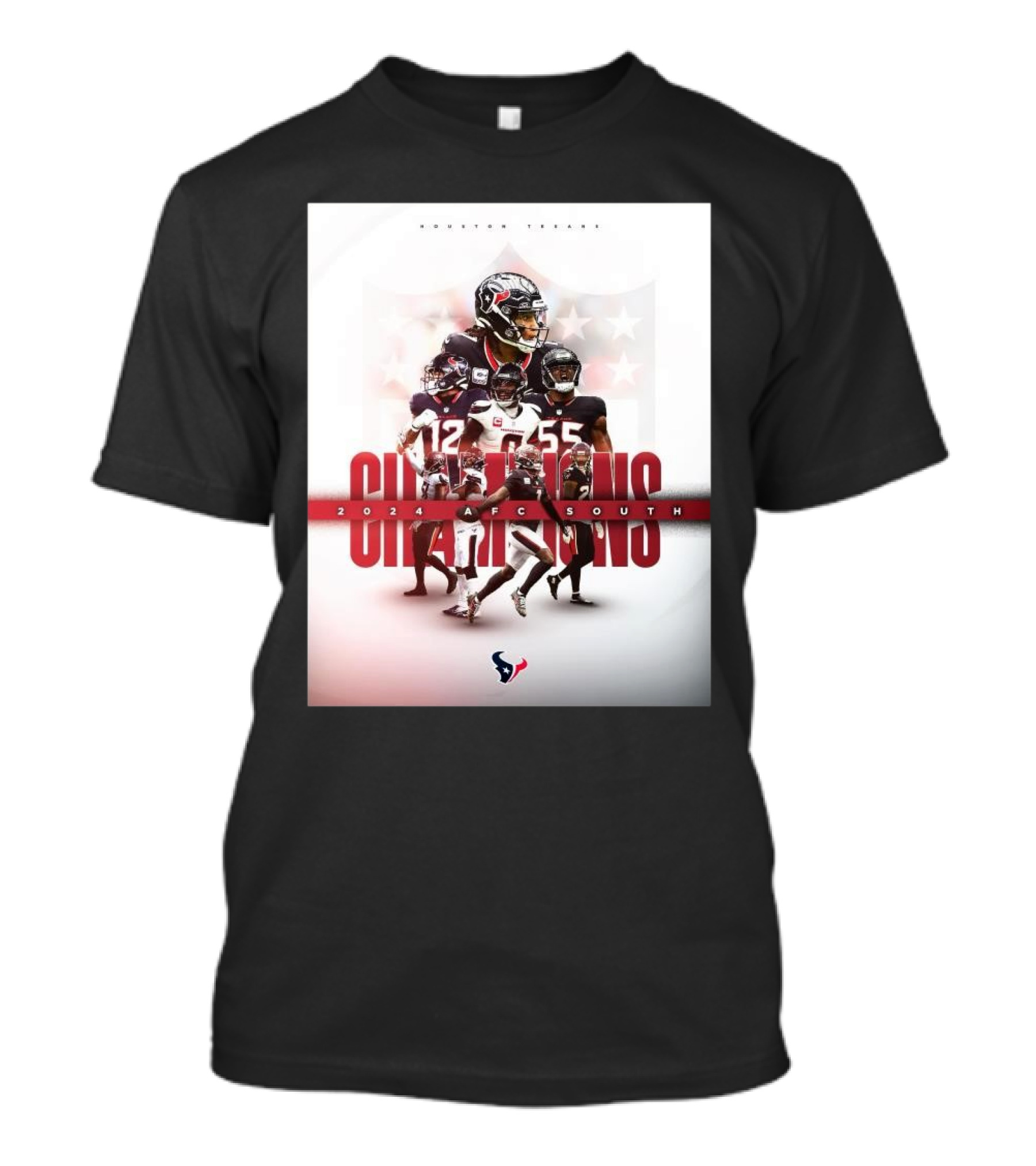 Houston Texans 2024 AFC South Champions T-Shirt