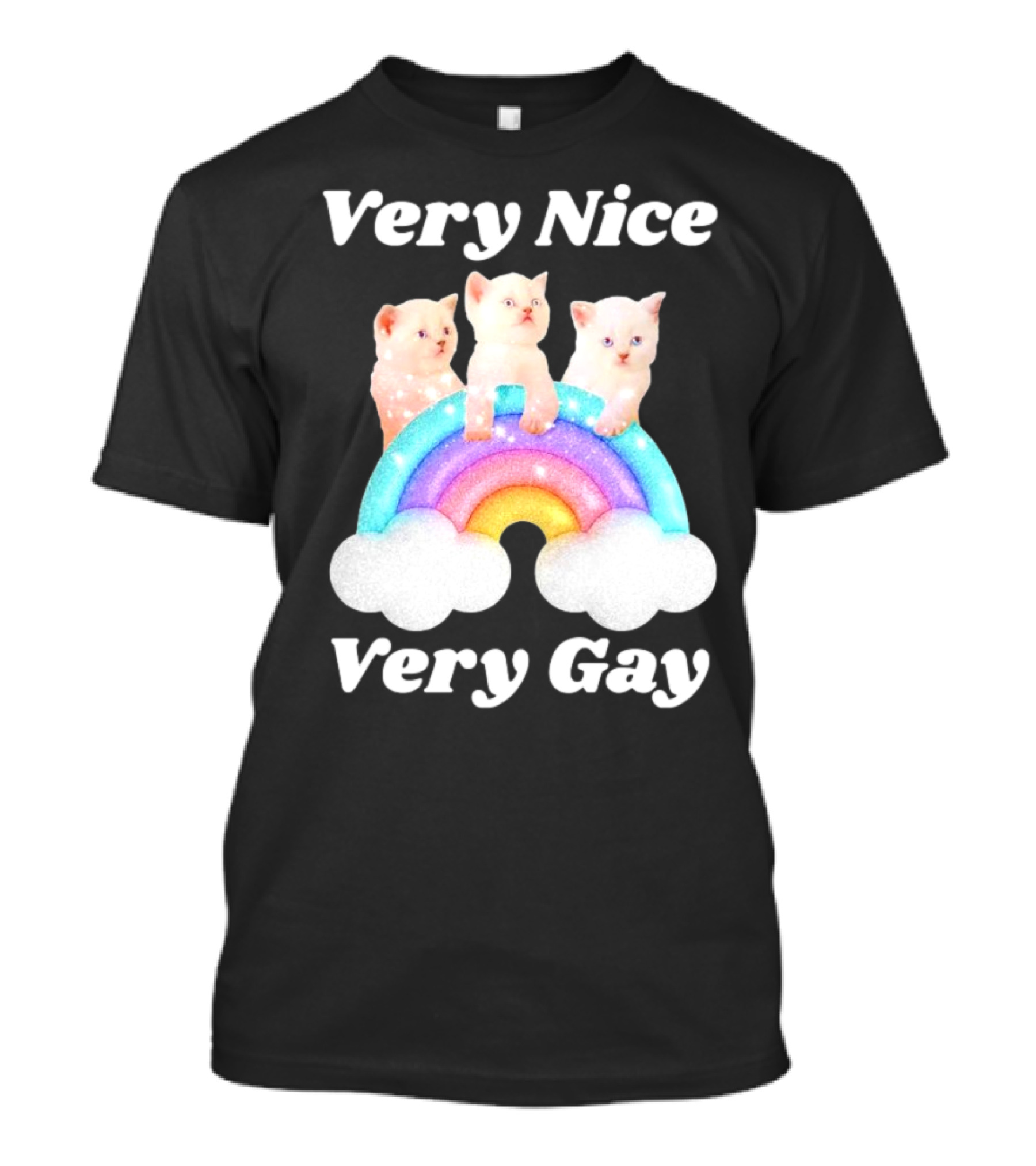 Very Nice Very Gay Cats On Rainbow T-Shirt