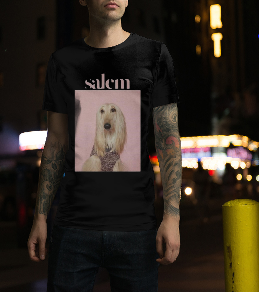 Salem Ilese Dog Afghan Hound Portrait On Pink Background T-Shirt