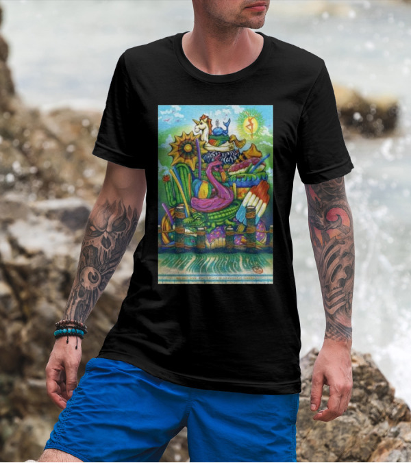 Dave Matthews Band Jacksonville FL May 28th 2024 Psychedelic Unicorn Flamingo T-Shirt