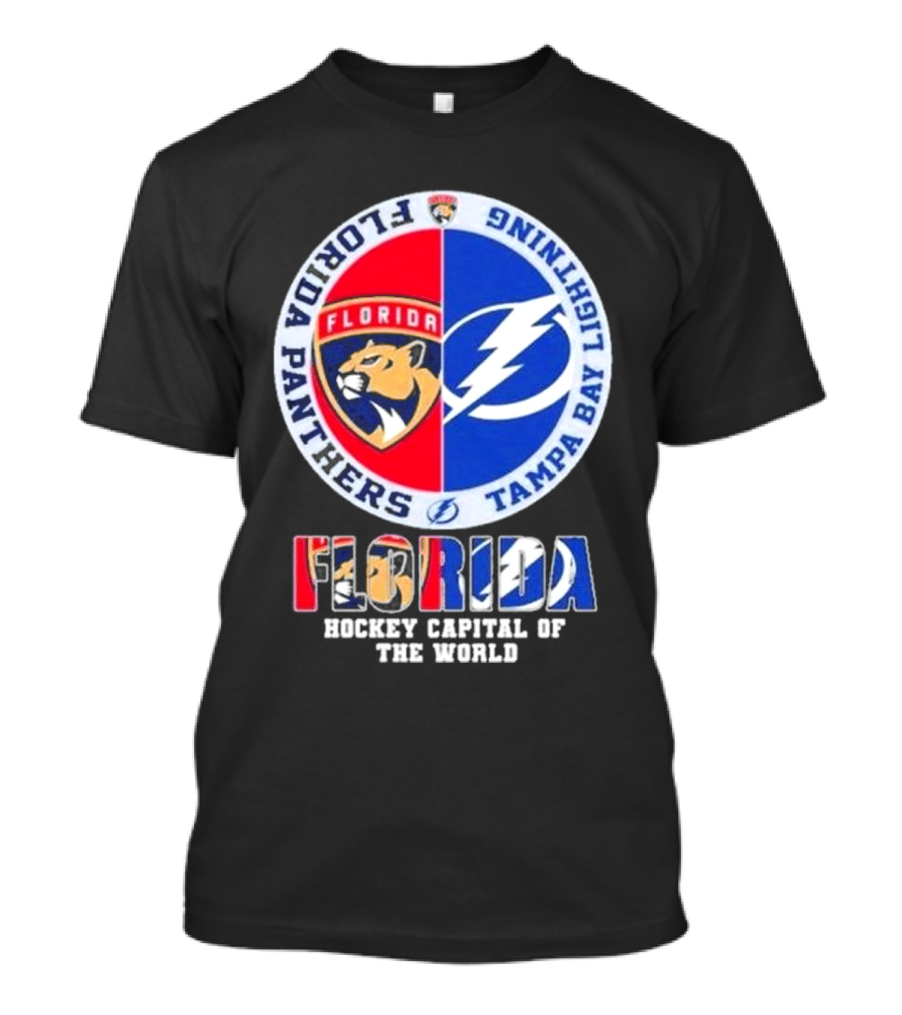 Florida Panthers Tampa Bay Lightning Florida Hockey Capital Of The World T-Shirt