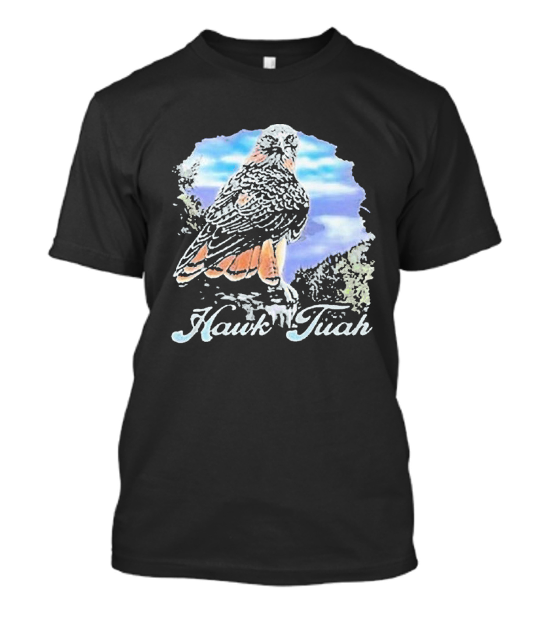 Hawk Tuah Scenic 70s Vintage Style Bird T-Shirt