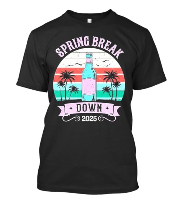 Spring Break Down 2025 Bottle Palms Retro Stripes Vintage Vibe T-Shirt