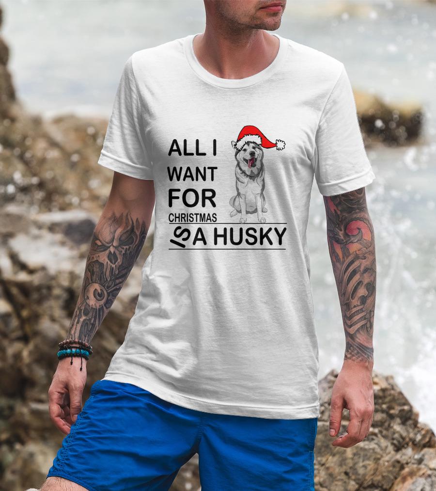 All I Want For Christmas Is A Husky With Santa Hat T-Shirt