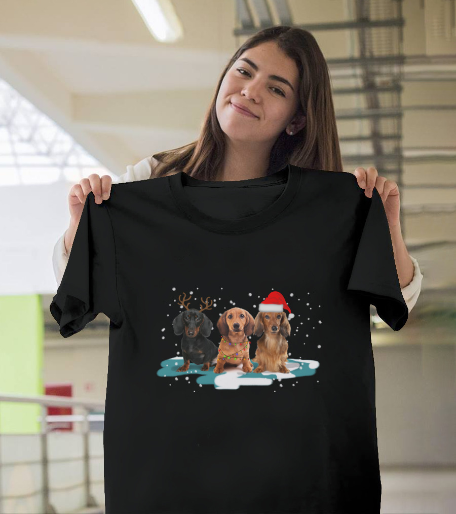 Dachshund Christmas Trio With Antlers And Santa Hat In Snowy Scene T-Shirt